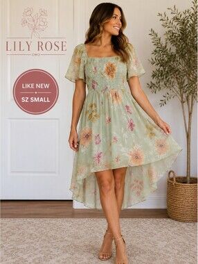Lily Rose | S | Mint Floral Smocked Maxi Dress
